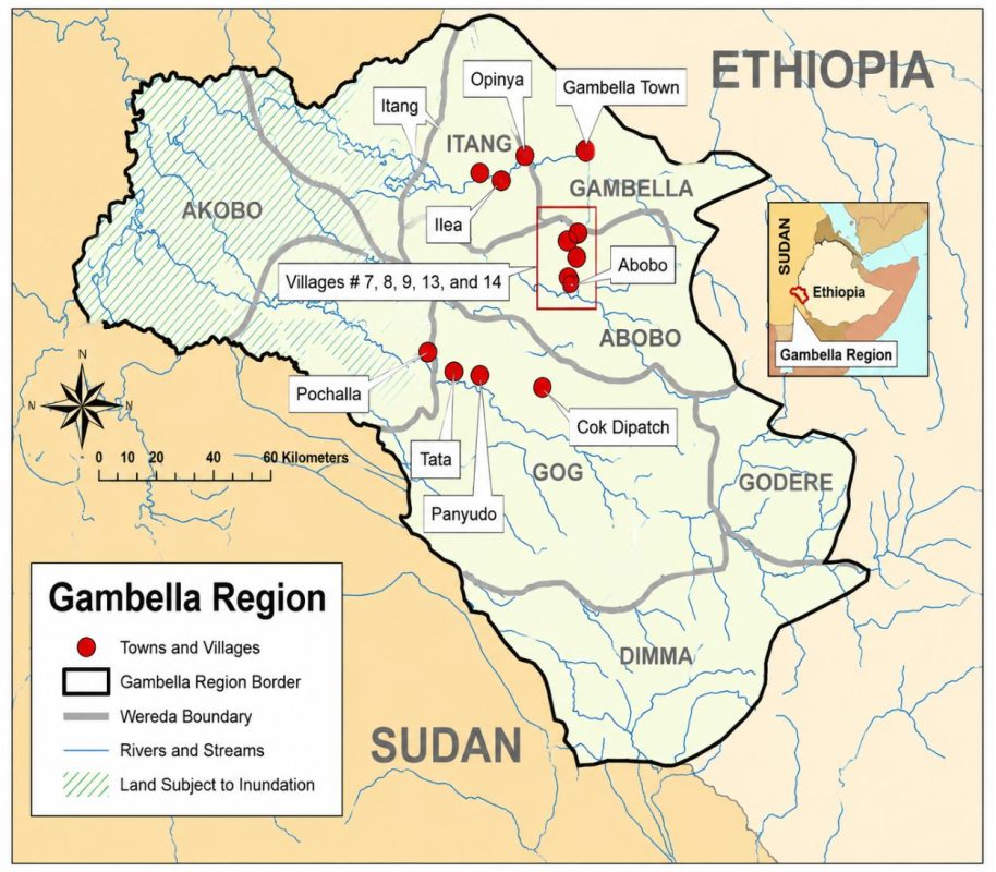 cac-vung-trong-ca-phe-cua-ethiopia