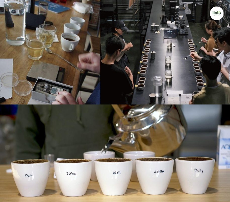 hoa-hoc-nuoc-trong-cupping-ca-phe-dong-vai-tro-gi