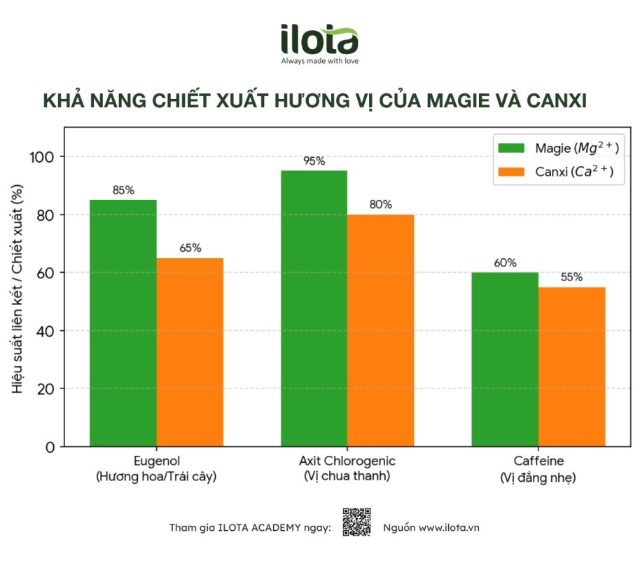 hoa-hoc-nuoc-trong-cupping-ca-phe-dong-vai-tro-gi