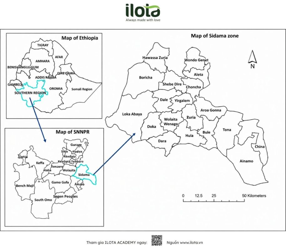 cac-vung-trong-ca-phe-cua-ethiopia