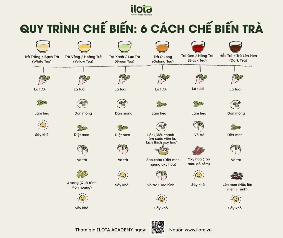 cach-u-tra-den