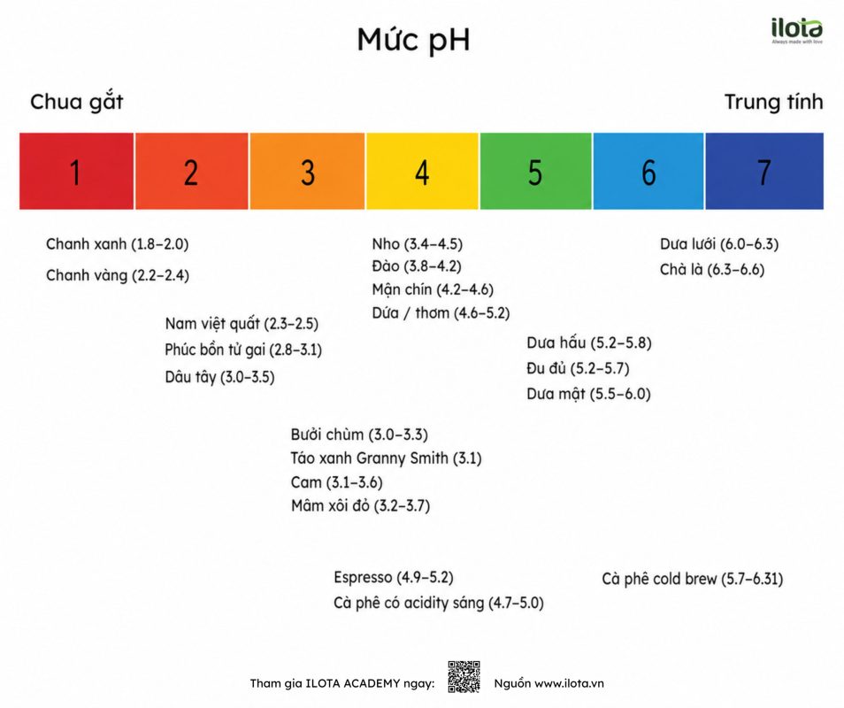 acidity-trong-ca-phe