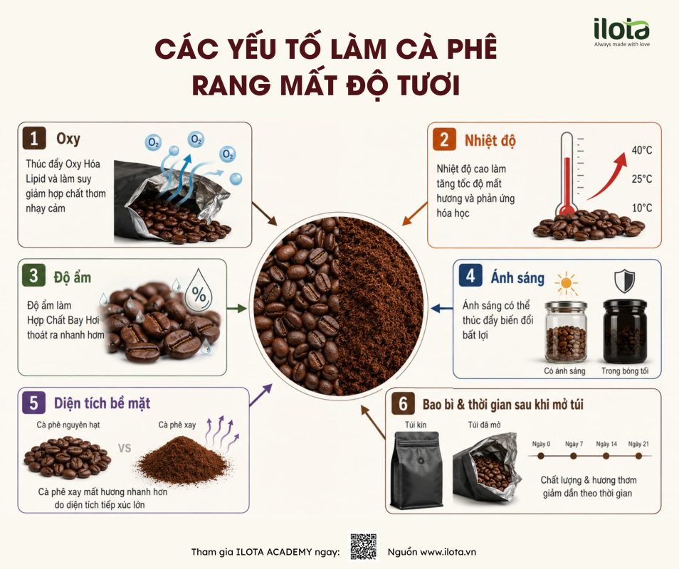 hop-chat-bay-hoi-trong-ca-phe-rang