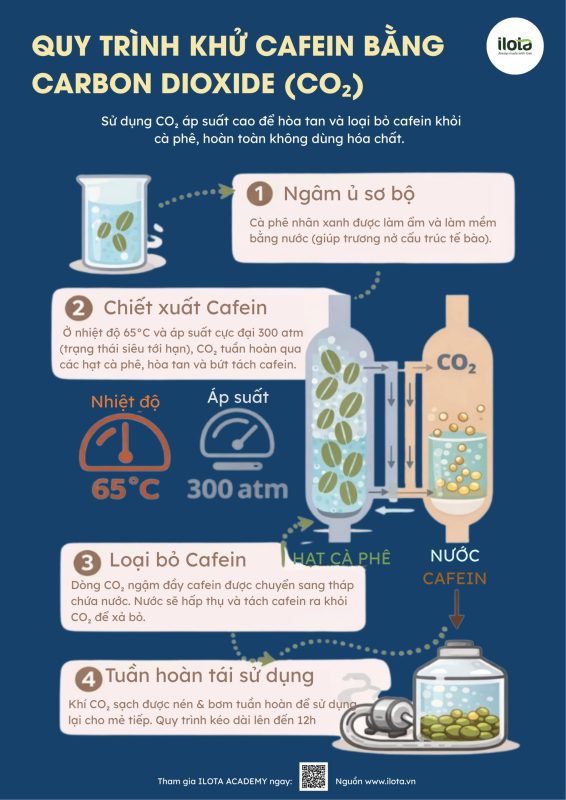 cong-nghe-giai-cafeine-supercritical-co2-swiss-water