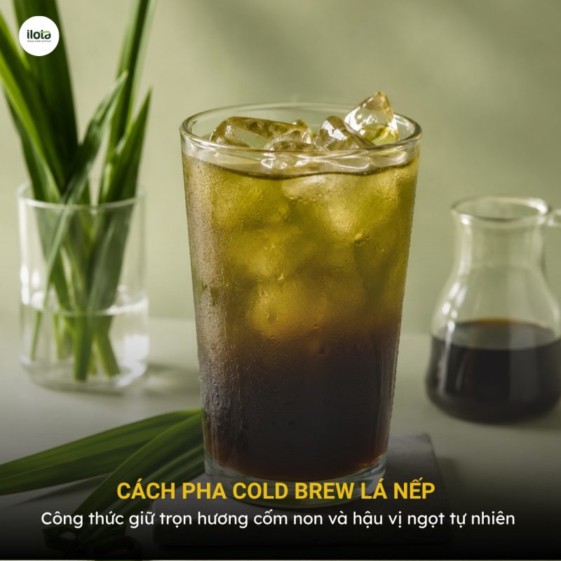 cach-pha-cold-brew-la-nep
