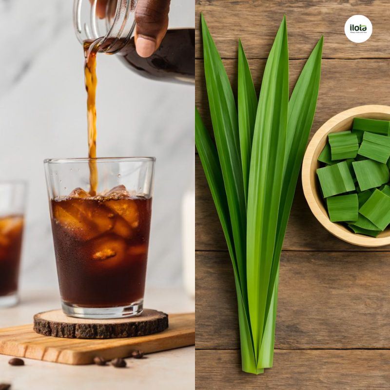 cach-pha-cold-brew-la-nep