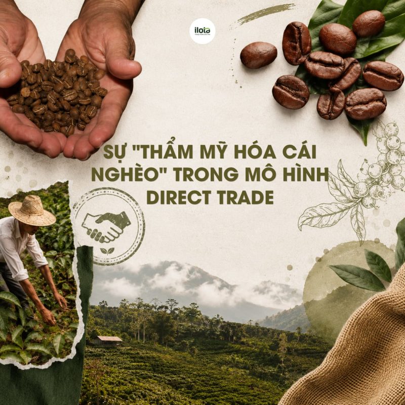 tham-my-hoa-cai-ngheo-mo-hinh-ca-phe-direct-trade