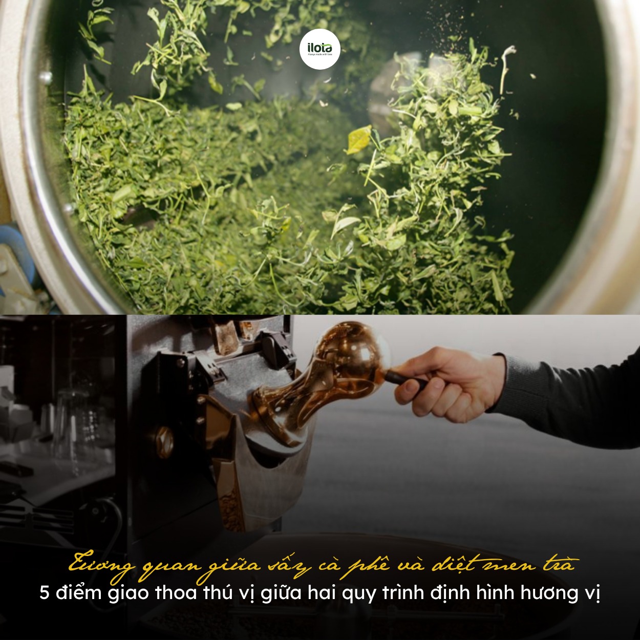 tuong-quan-giua-say-ca-phe-va-diet-men-tra