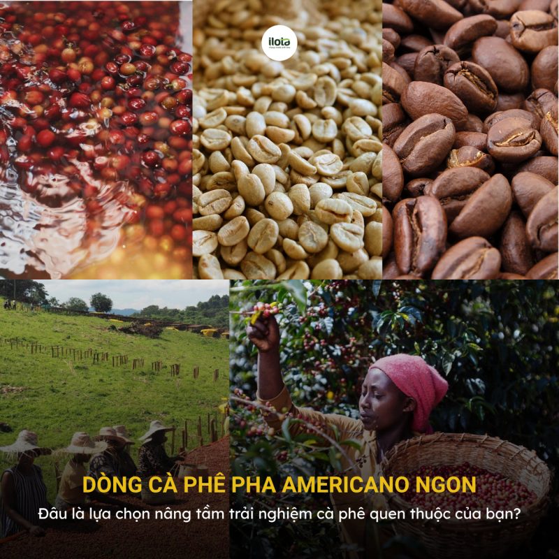dong-ca-phe-pha-americano-ngon