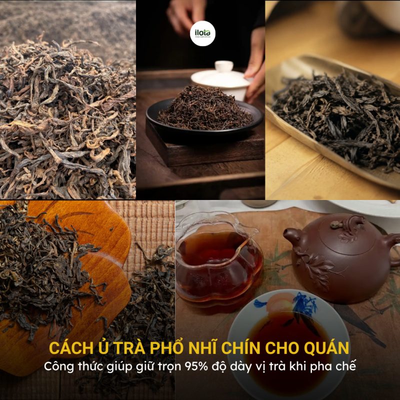 cach-u-tra-pho-nhi-chin-cho-quan