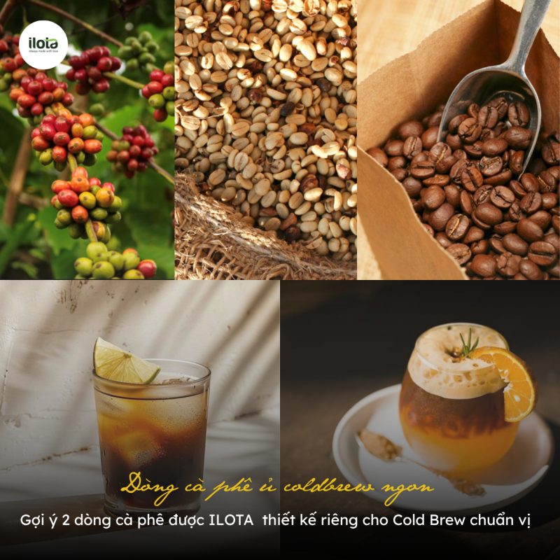 dong-ca-phe-u-coldbrew-ngon