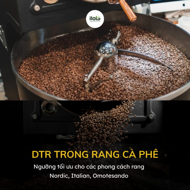 dtr-trong-rang-ca-phe