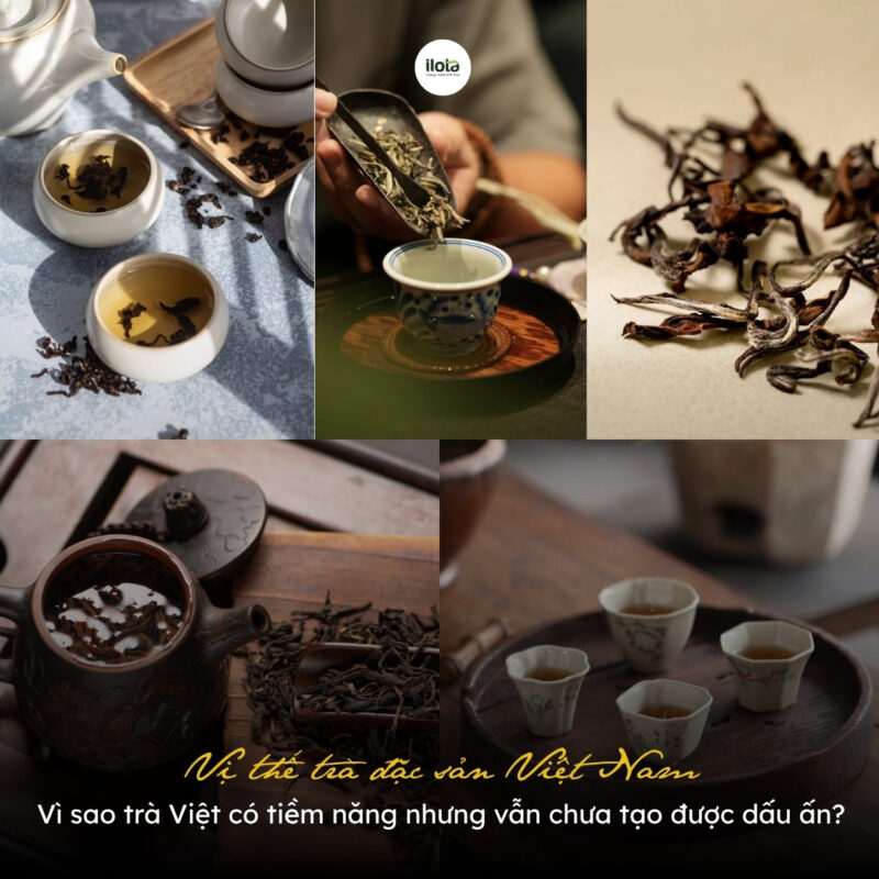 Vị thế trà đặc sản Việt Nam: Vì sao trà Việt có tiềm năng nhưng vẫn chưa tạo được dấu ấn?