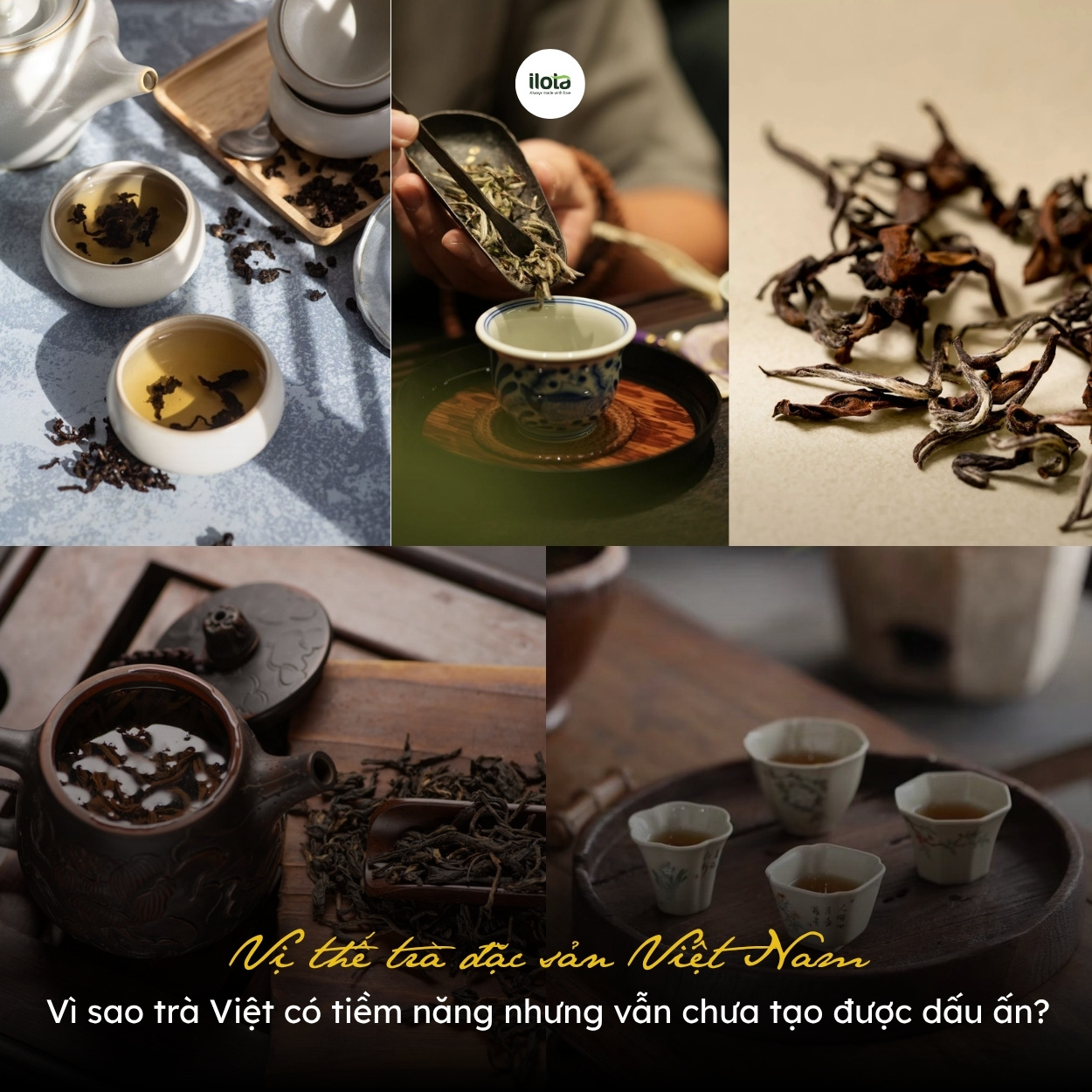 Vị thế trà đặc sản Việt Nam: Vì sao trà Việt có tiềm năng nhưng vẫn chưa tạo được dấu ấn?