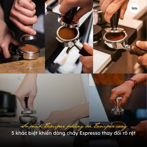 so-sanh-tamper-phang-va-tamper-cong