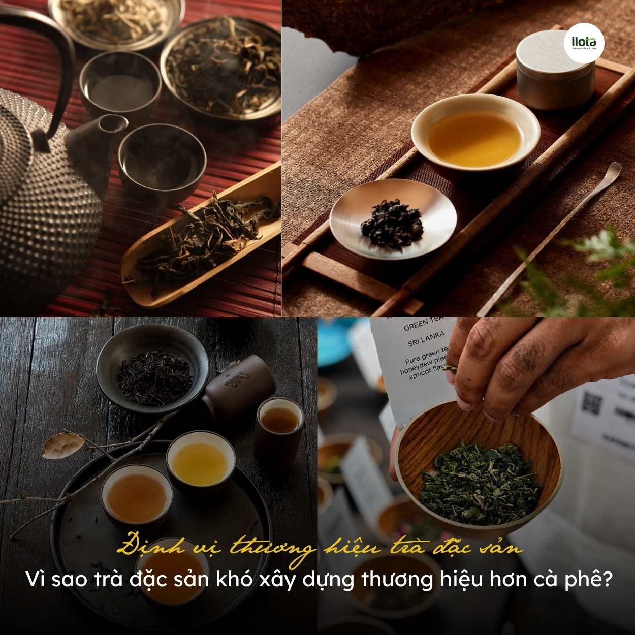 dinh-vi-thuong-hieu-tra-dac-san