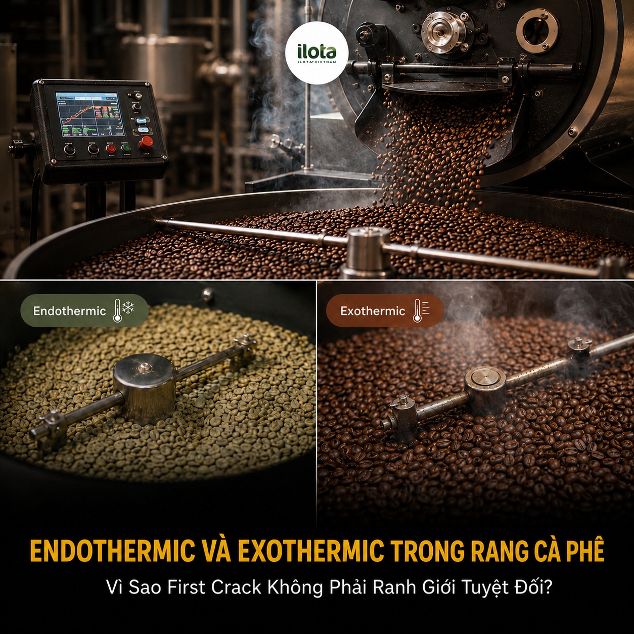 Endothermic Và Exothermic Trong Rang Cà Phê: Vì Sao First Crack Không Phải Ranh Giới Tuyệt Đối?