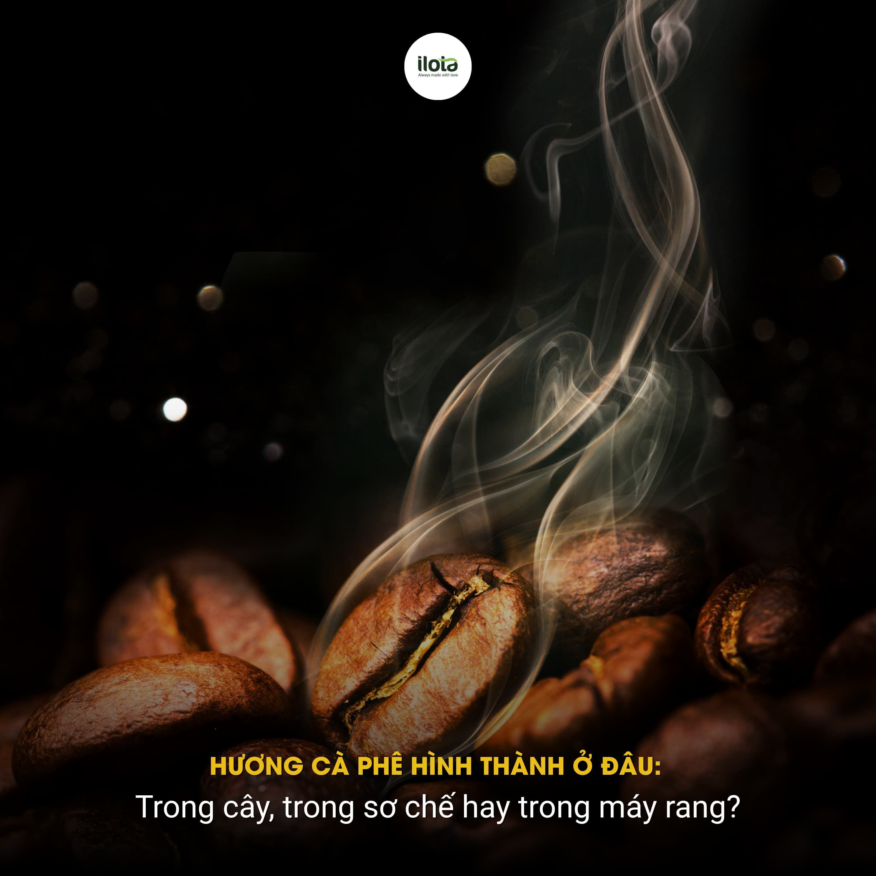 huong-ca-phe-hinh-thanh-o-dau
