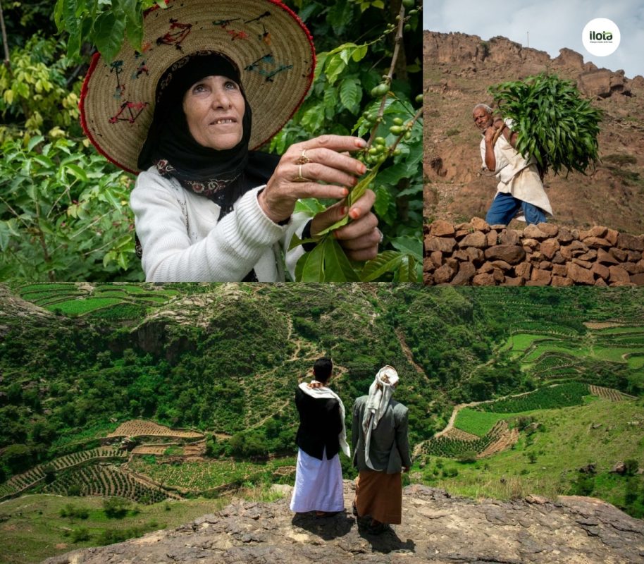 giong-ca-phe-yemenia