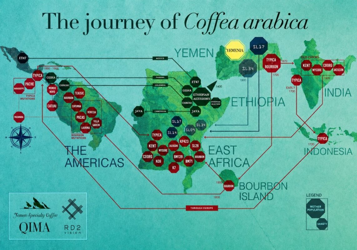 giong-ca-phe-yemenia