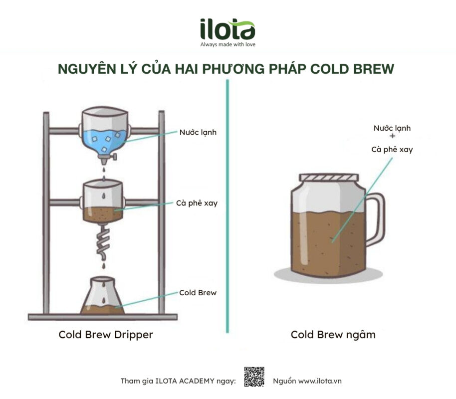 so-sanh-cold-brew-dripper-vs-cold-brew-ngam
