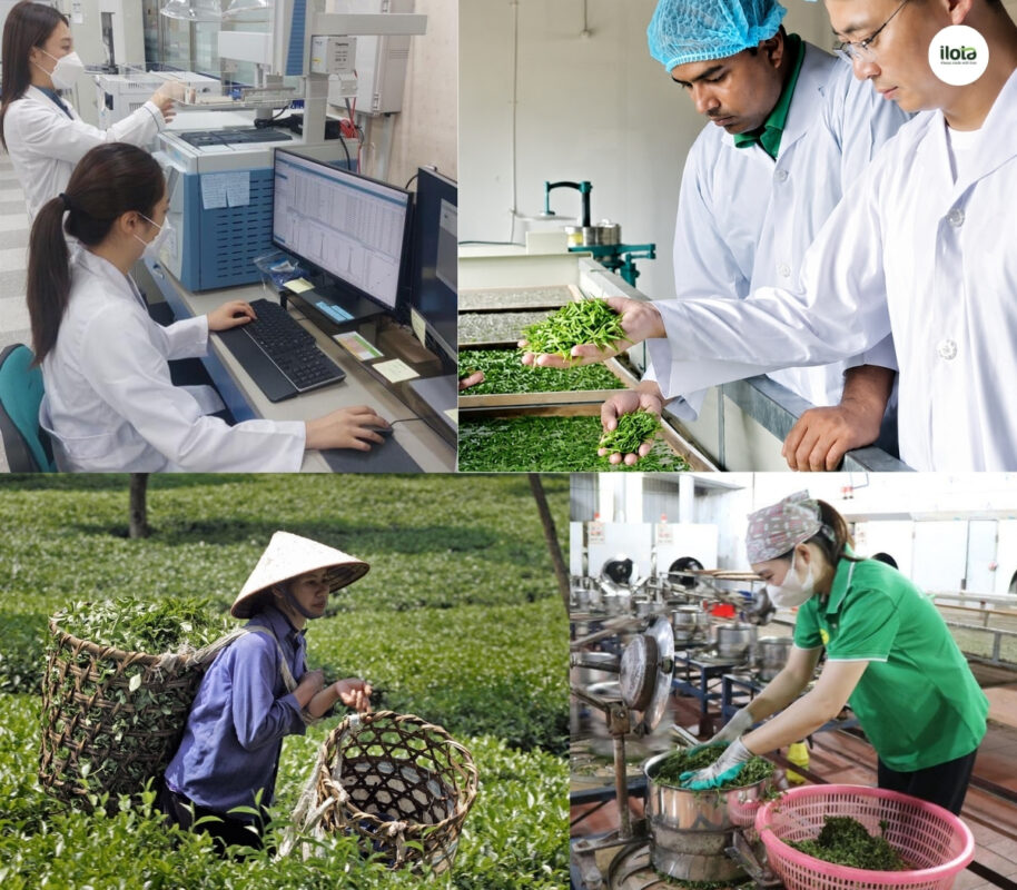 tra-dac-san-viet-nam-can-gi-de-vuon-ra-quoc-te-tai-sao-chat-luong-hang-dau-nhung-van-chat-vat-tim-cho-dung