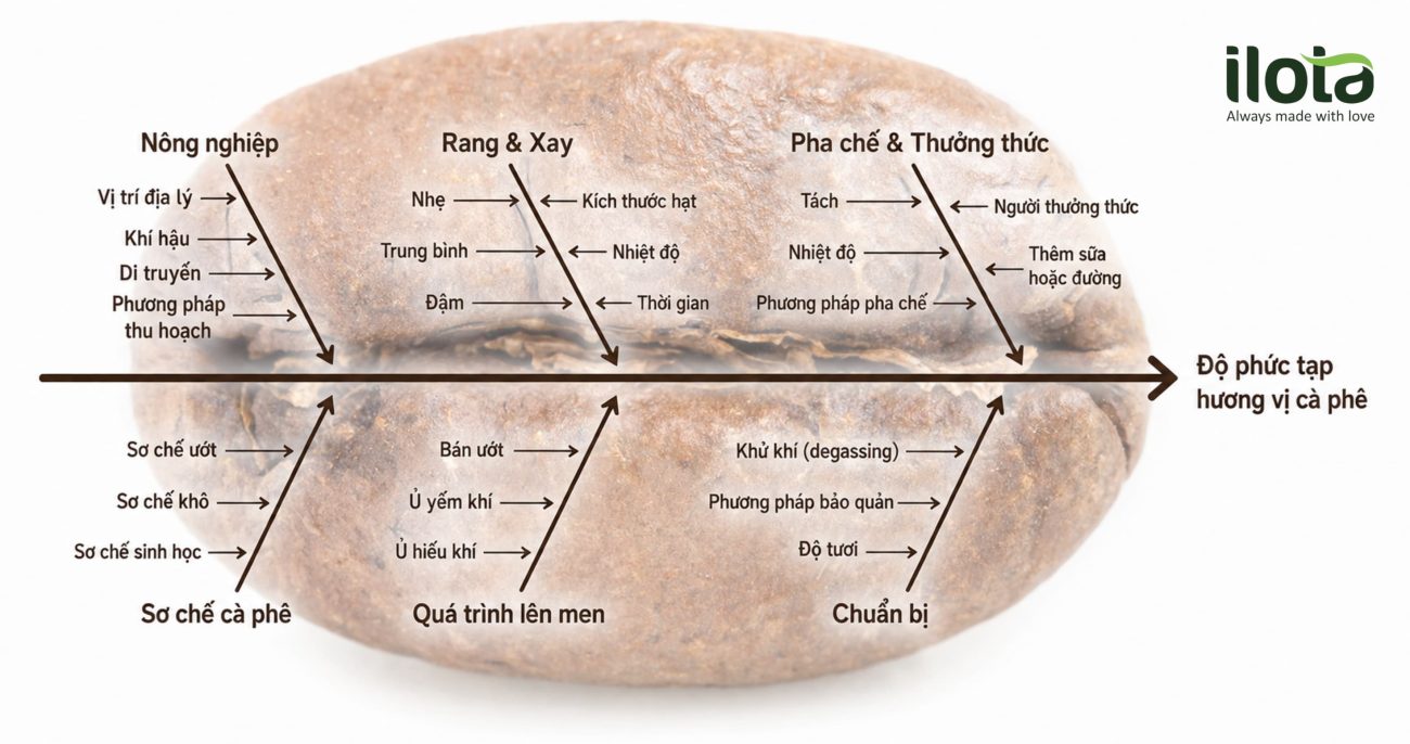 huong-ca-phe-hinh-thanh-o-dau