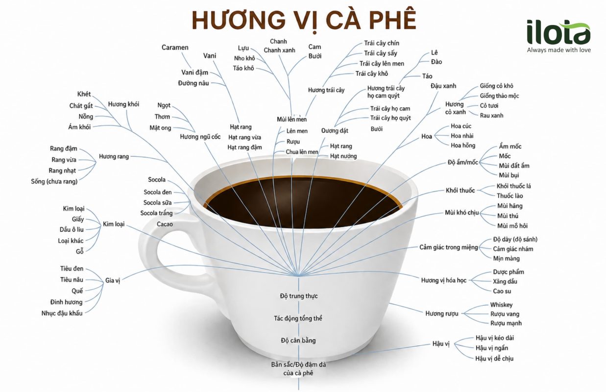 huong-ca-phe-hinh-thanh-o-dau