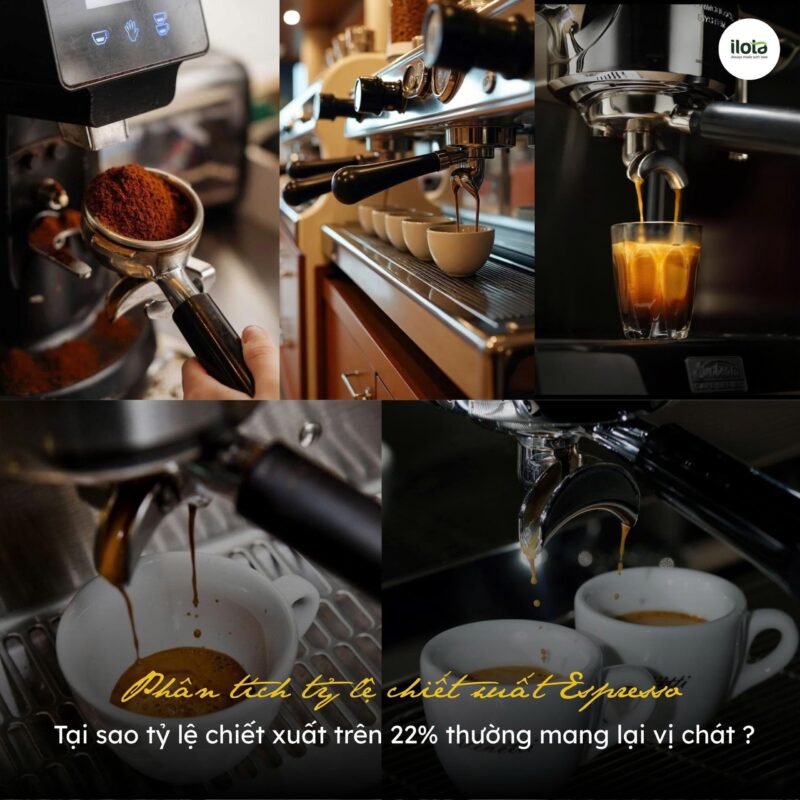 phan-tich-ty-le-chiet-xuat-espresso