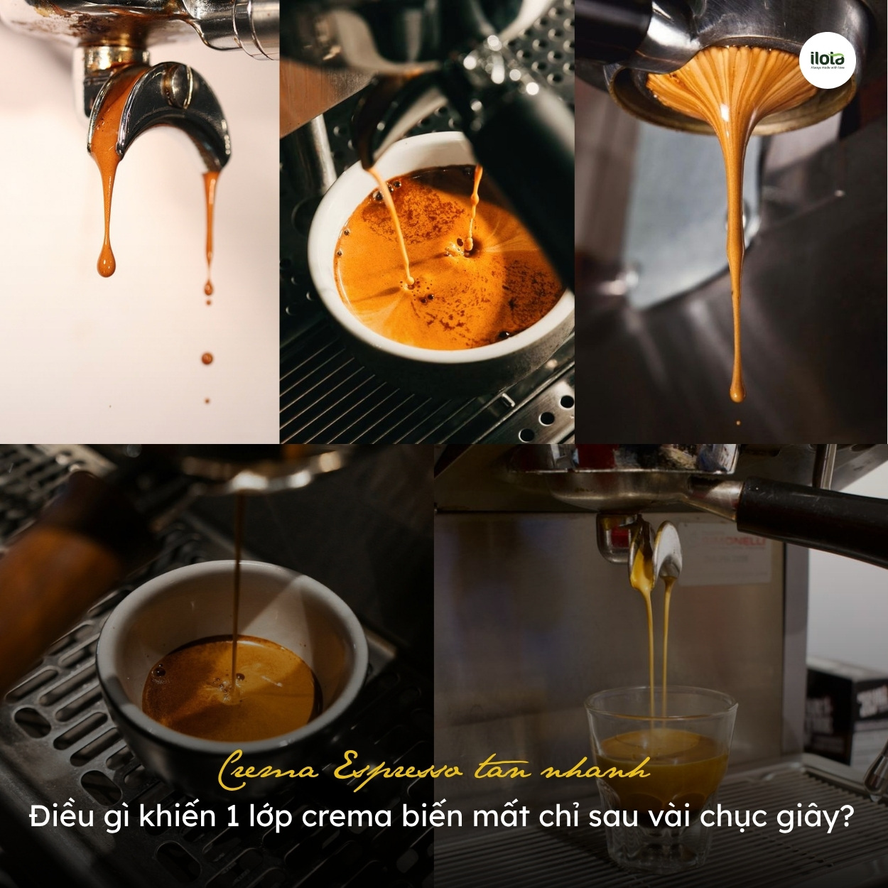 crema-espresso-tan-nhanh