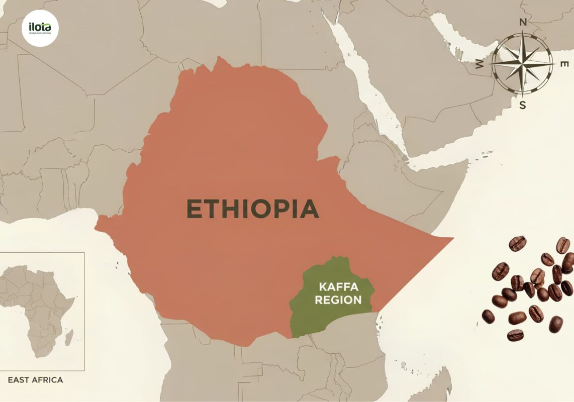 cai-noi-ca-phe-the-gioi-ethiopia