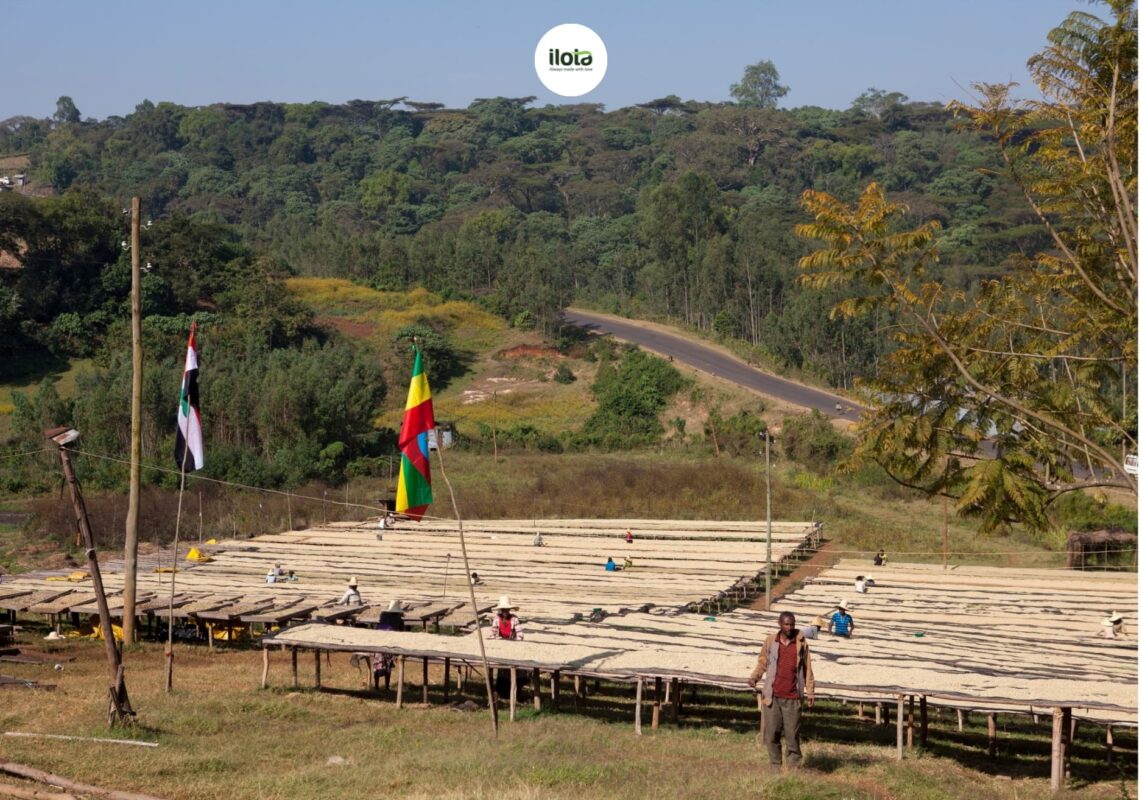 cai-noi-ca-phe-the-gioi-ethiopia