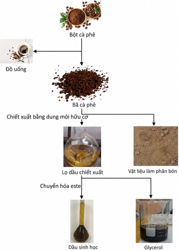 cong-nghe-tai-tao-ba-ca-phe-tu-nam-han