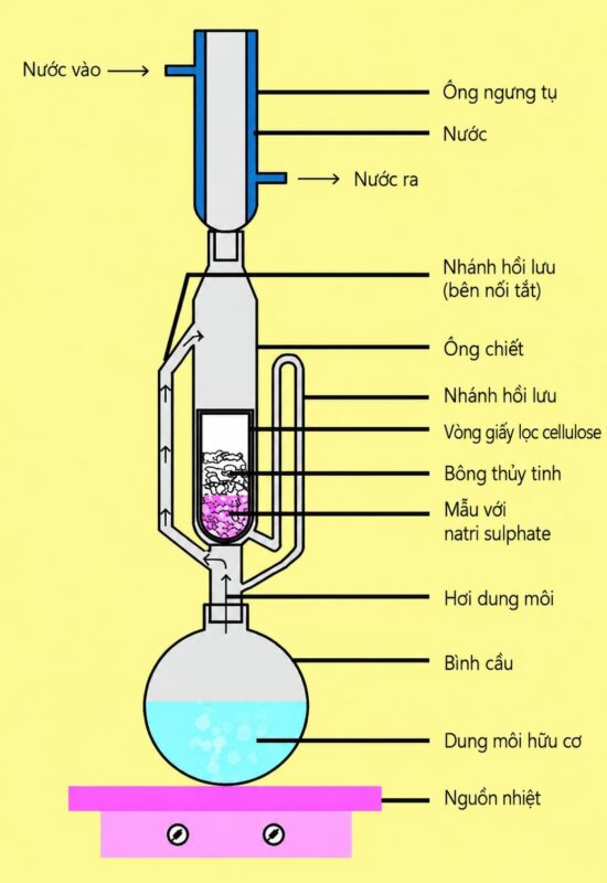 cong-nghe-tai-tao-ba-ca-phe-tu-nam-han