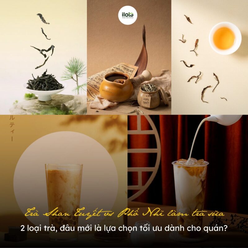 so-sanh-tra-shan-tuyet-vs-pho-nhi-lam-tra-sua