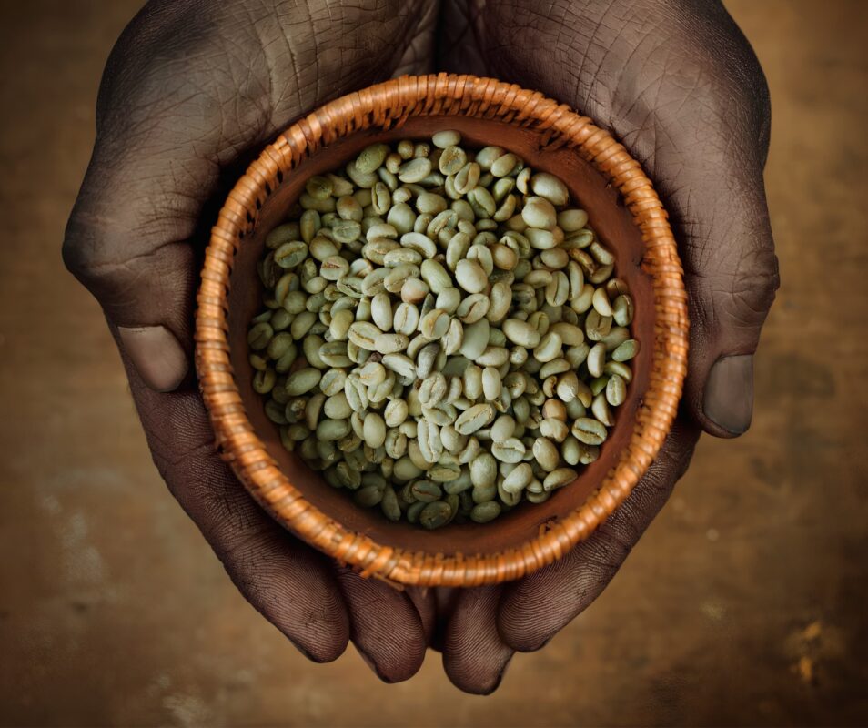 giong-ca-phe-heirloom-huong-vi-hoa-qua-cua-ethiopia