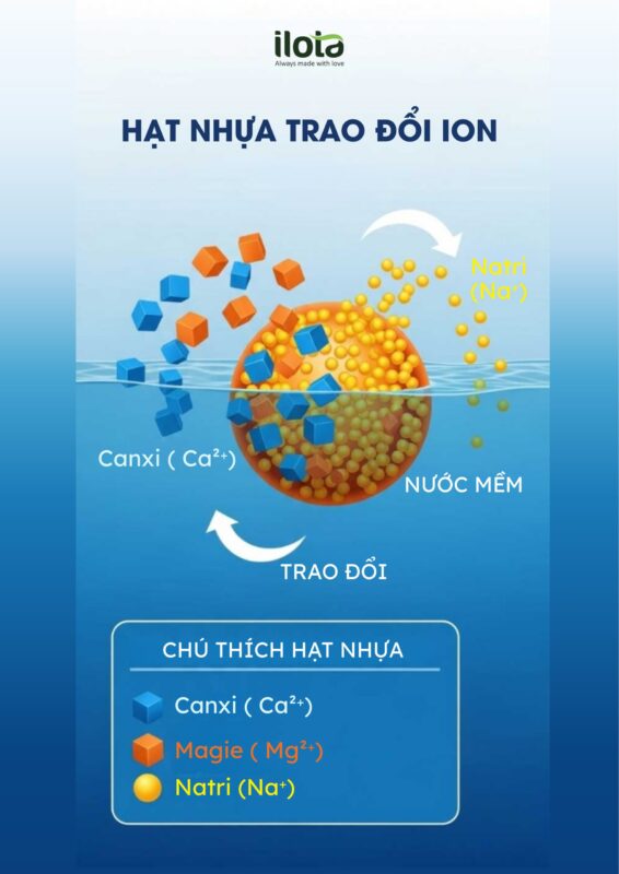 toi-uu-dung-moi-trich-ly-vai-tro-cua-magie-canxi