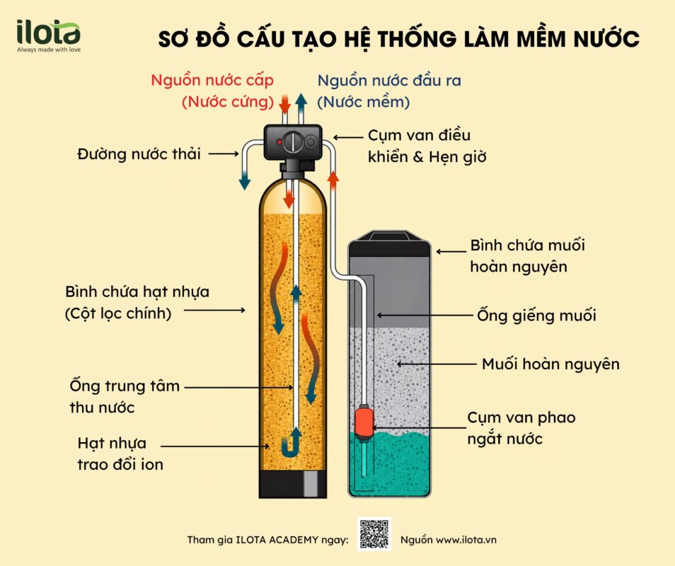 toi-uu-dung-moi-trich-ly-vai-tro-cua-magie-canxi