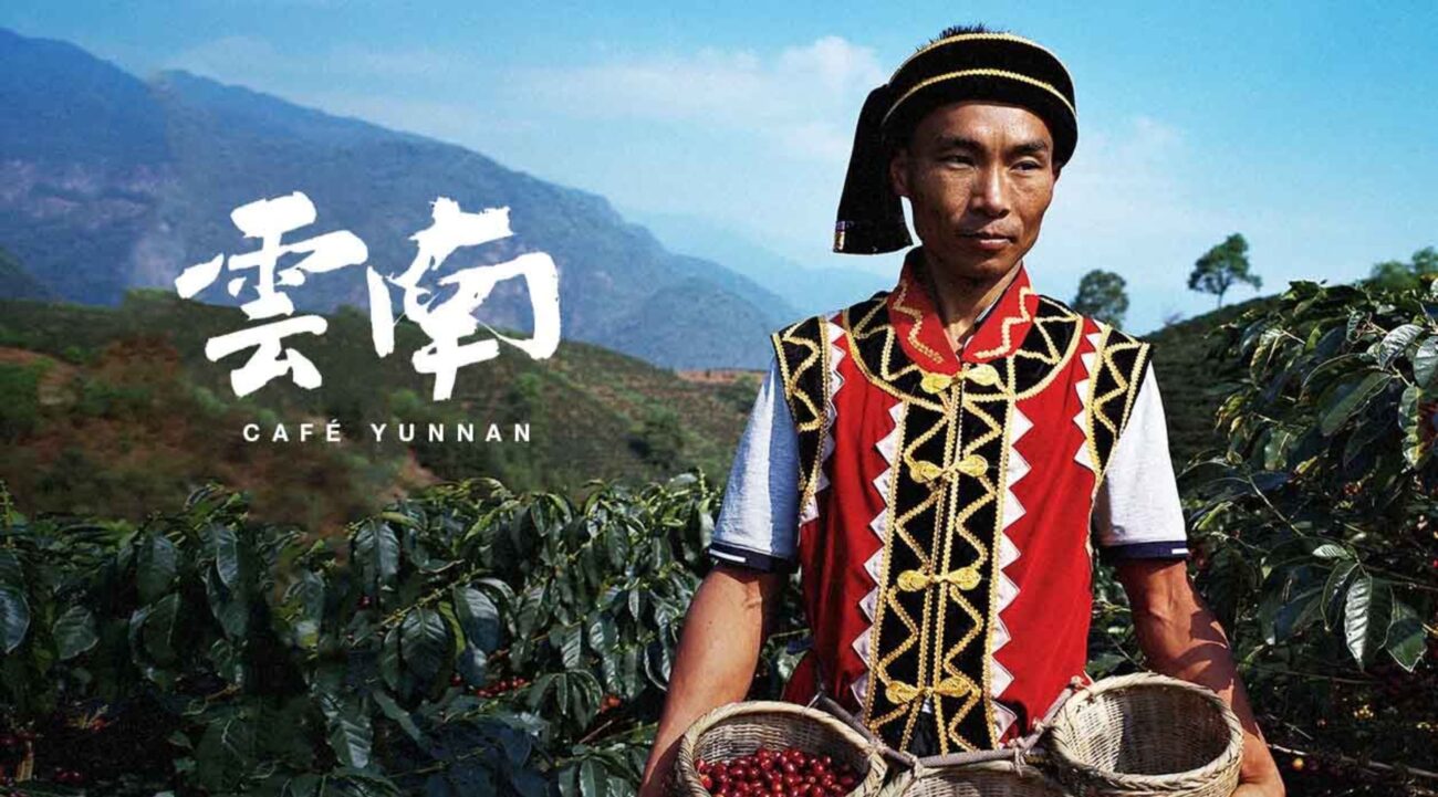 canh-tac-ca-phe-truoc-bien-doi-khi-hau