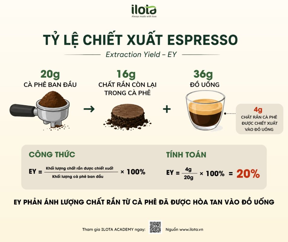 phan-tich-ty-le-chiet-xuat-espresso
