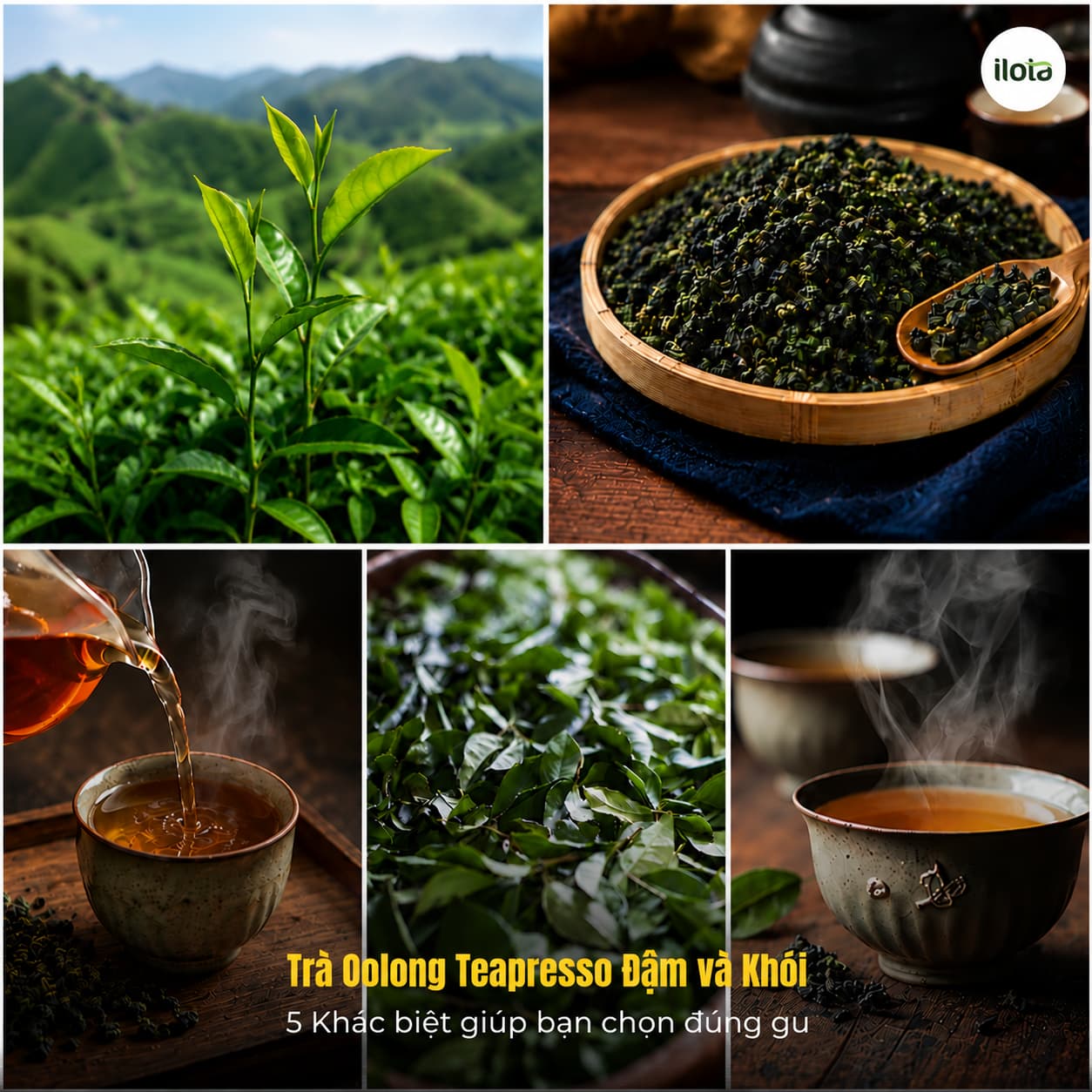 tra-oolong-teapresso-dam-va-khoi-5-khac-biet