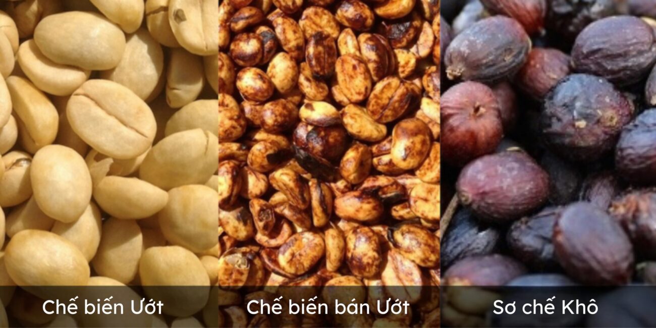 Thời gian của phương pháp sơ chế Khô: Quy trình và các yếu tố ảnh hưởng