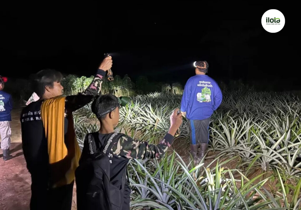 nong-dan-thai-lan-chuyen-tu-mia-chuoi-sang-ca-phe