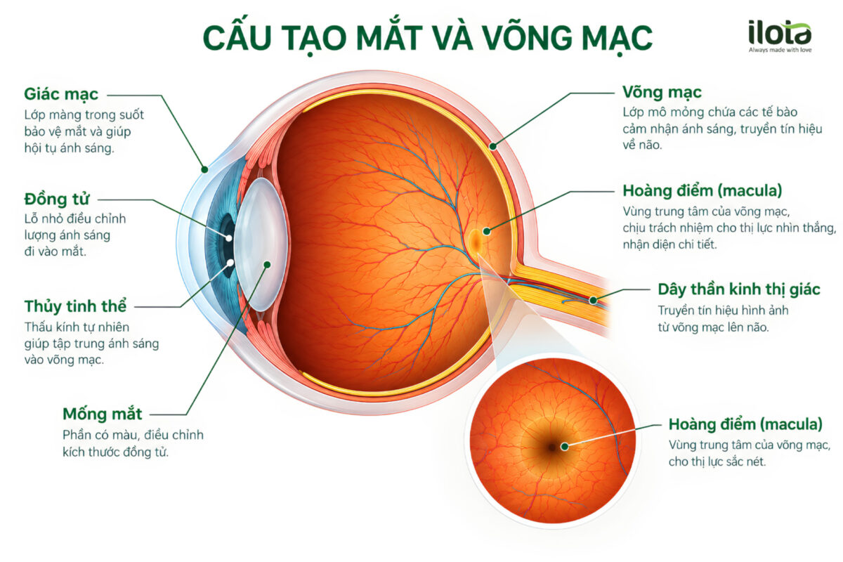 ca-phe-hoa-tan-anh-huong-den-mat-ra-sao