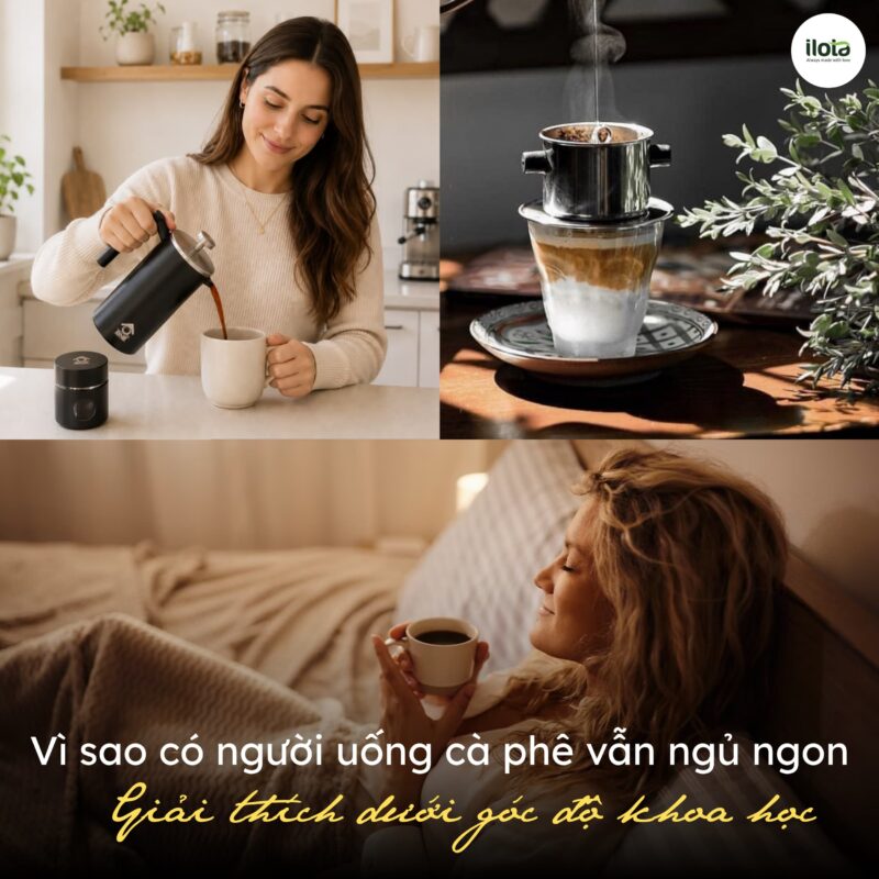 Vì sao có người uống cà phê vẫn ngủ ngon: Giải thích dưới góc độ khoa học