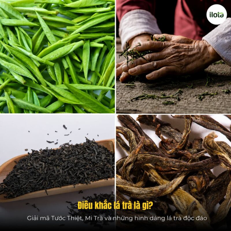 dieu-khac-la-tra-la-gi-giai-ma-tuoc-thiet-mi-tra