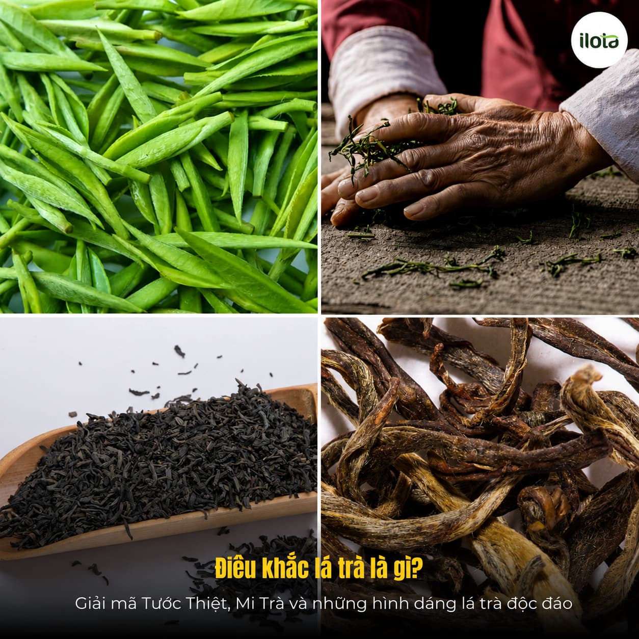 dieu-khac-la-tra-la-gi-giai-ma-tuoc-thiet-mi-tra