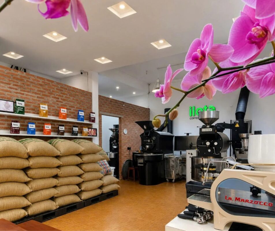 Tỷ lệ phối trộn cà phê Robusta và Arabica: Cách chọn tỷ lệ blend phù hợp
