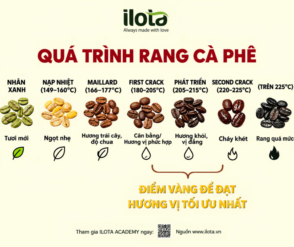 rest-nhan-xanh-truoc-khi-rang-khi-nao-can