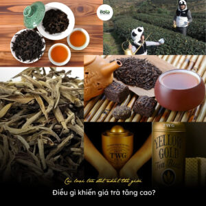 cac-loai-tra-dat-nhat-the-gioi